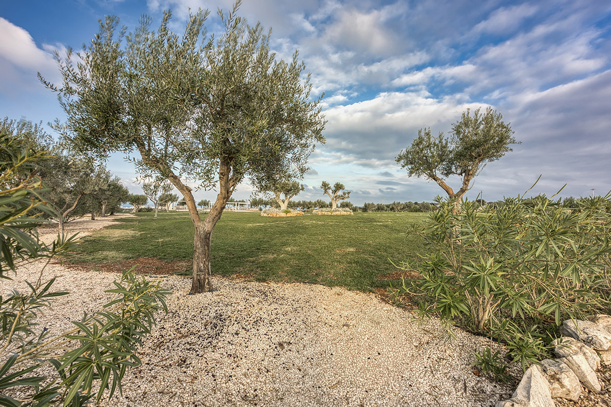 ABOUT TECLA COLLECTION